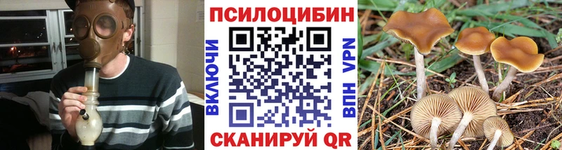 Галлюциногенные грибы Magic Shrooms  Купить закладки  Заводоуковск 